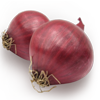 Fresh-onion